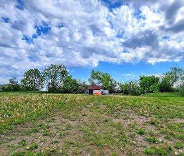 For Lease - 3535 Westney Road, Pickering, Ontario - Photo 4