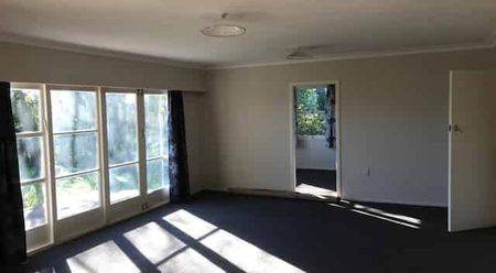 Spacious Four Bedroom Home on Large Section - Photo 3