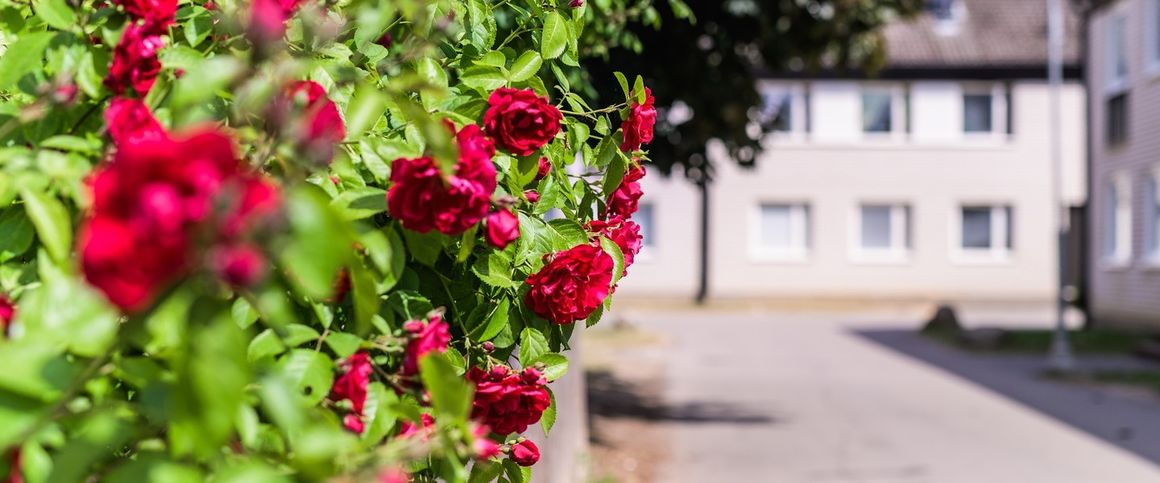 Fogdegatan 6, Linköping - Foto 1