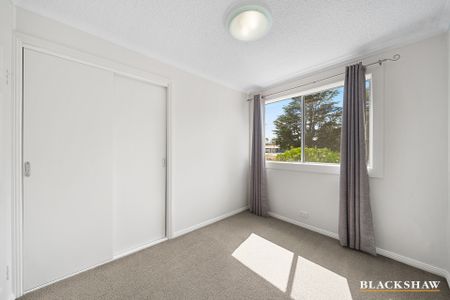 2/17 Campbell Street, Queanbeyan NSW 2620 - Apartment For Rent | Domain - Photo 2