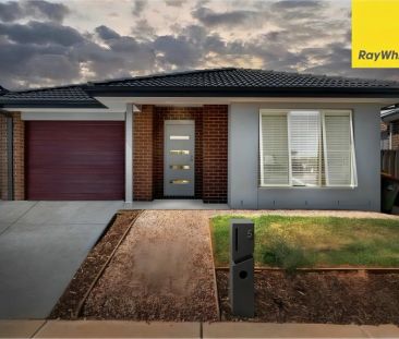 Spacious Family Home in a Prime Location - Photo 2