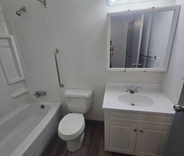 Beautifully Renovated Ground Floor One Bedroom on South Hill - Photo 1