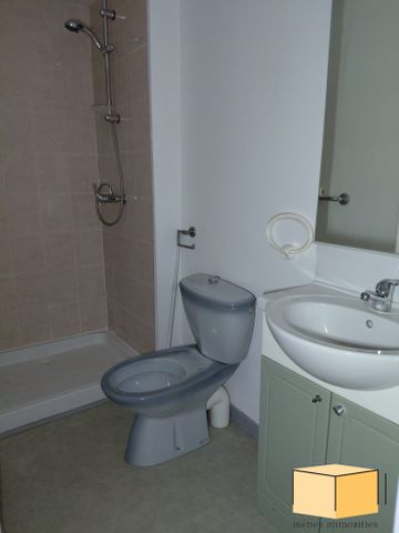 Location Appartement 1 pièce 28m² ST GENIX LES VILLAGES 73240 - Photo 2