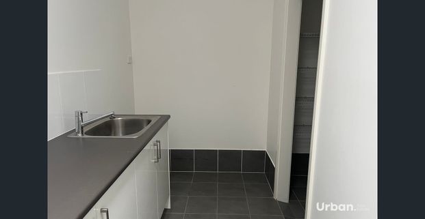 Modern Living with Country Charm and Paddock Views - Photo 1