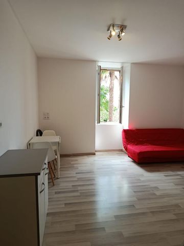 Location Appartement 1 pièce Meublé 20m² RISCLE 32400 - Photo 2