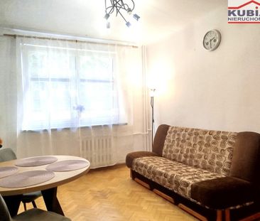 Pruszkowski, Pruszków, Kubusia Puchatka - Фото 5