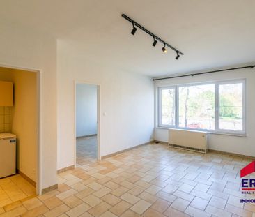 Eenslaapkamerappartement in centrum Tienen - Photo 1