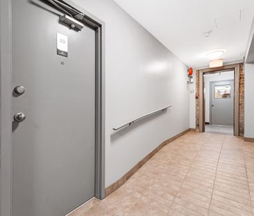 235 Charlotte St - Photo 3