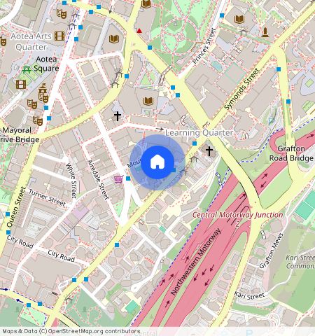 ** Mount Street, Grafton, Auckland City