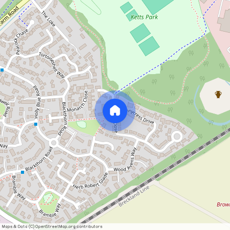 Burdock Close, Wymondham, NR18