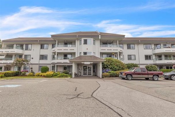 Spacious 55+ Condo with Elevator Access - Photo 1