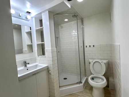 For Lease - 368 Browndale Crescent Unit# Basement, Richmond Hill, Ontario - Photo 5