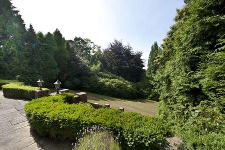 Cobbetts Hill, Weybridge, Surrey, KT13 - Photo 5