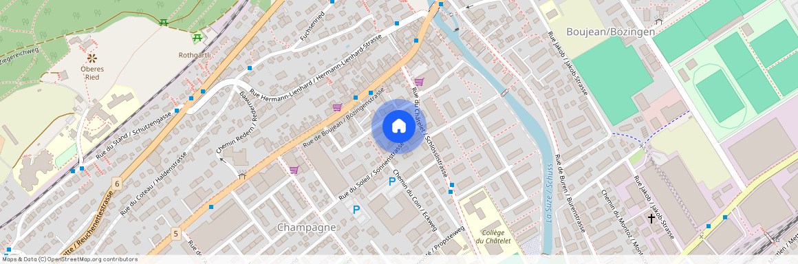2504, Biel, Rue Du Soleil / Sonnenstrasse, 35