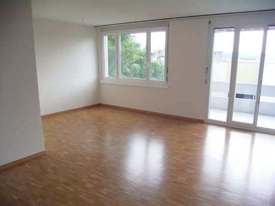 Ihr neues Zuhause in Stäfa - Photo 1