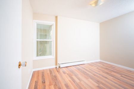 Alexander Apartments - Photo 3