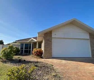 3 Lantana Place Mt Maunganui - Photo 5