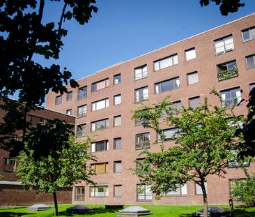 Stora Kvarngatan 5, Gamla Staden - Foto 2