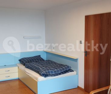 Pronájem bytu 6+kk • 150 m² bez realitkyStudnická, Praha - Horní Po... - Photo 1