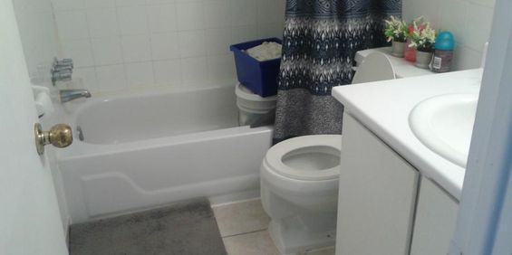 3 1/2 Alouer Anjou - Photo 3