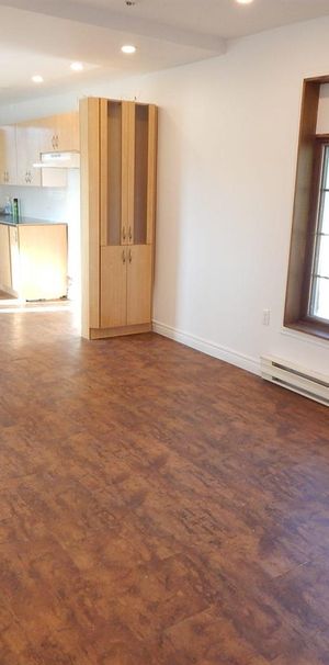 Montréal – Avenue Mercier – 3 bedroom apartment for rent - Photo 1