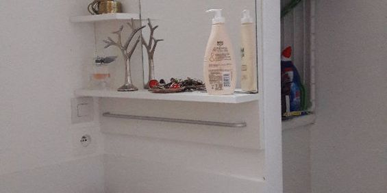 Location Appartement 1 pièce 40m² TOURS 37000 - Photo 3