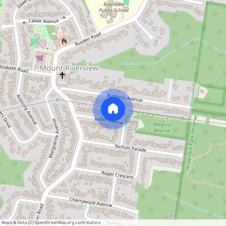 20 Judith Avenue, NSW 2774, Mount Riverview