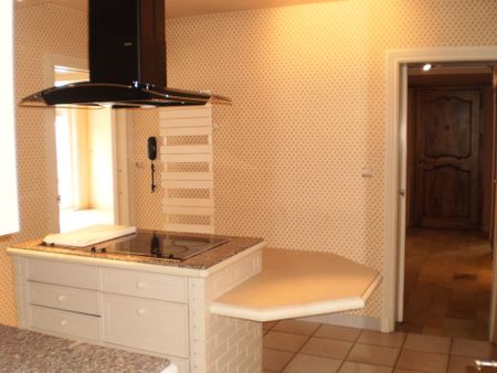 Location Maison 9 pièces 230m² GRENOBLE 38100 - Photo 4