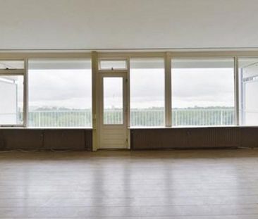 Perim 0ong, 1503 Zaandam, Nederland - Photo 2