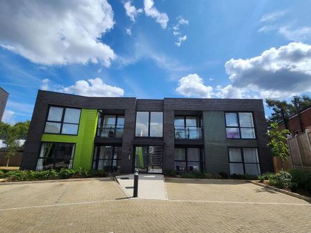 1 bedroom flat to rent - Photo 5