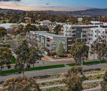 Light-Filled Apartment in a Convenient Harrison Location - Photo 4