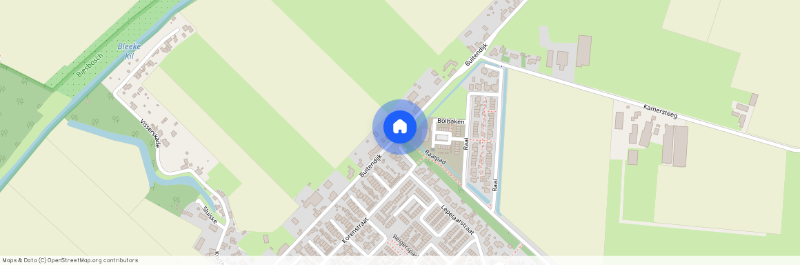 Buitendijk, Hank