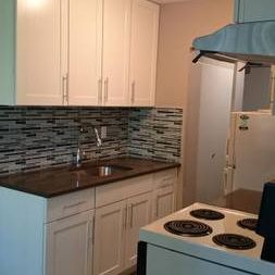 Spacious Renovated Suite in the Heart of Kitsilano Feb 1- 1 Bedrm - Photo 4