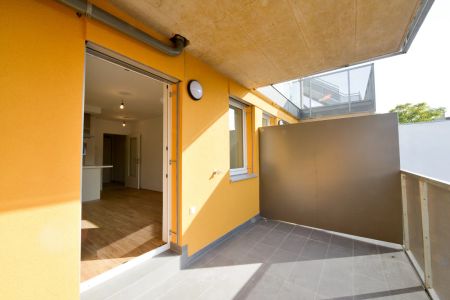 2-Zimmer Wohnung mit Balkon Nähe Westbahnhof! Ruhige Lage! Ab September - Foto 3