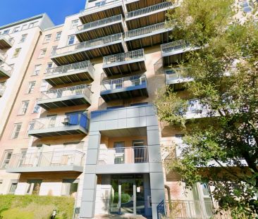 1 Bedroom 1 Bathroom - Photo 4