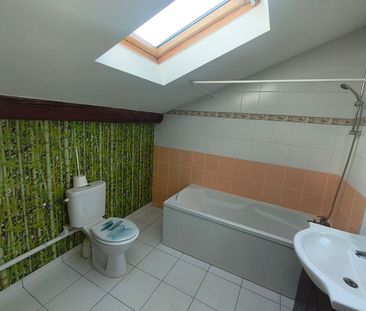 Appartement T3 Pontpierre à louer - Photo 4