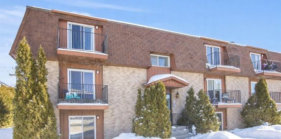 30-1 - 30 Rue Du Curé-André-Préseault, Gatineau - Photo 2