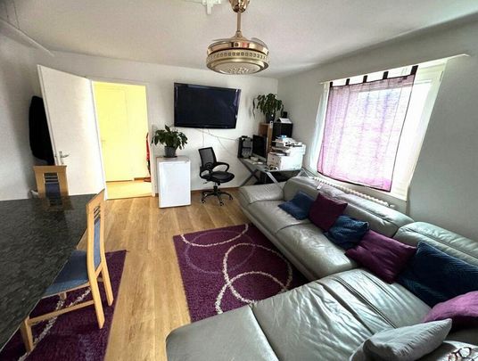 Helle 3.0 Zi-Wohnung zu vermieten Kopie - Photo 1