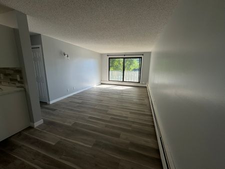RENOVATED 1-Bedroom Apartment - SMALL PET FRIENDLY! - Photo 4