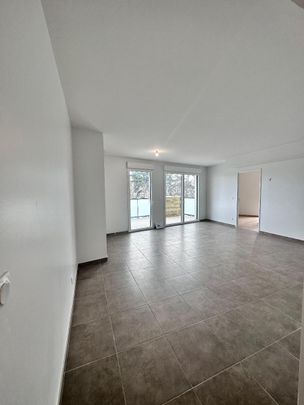 Location Appartement 3 pièces 58m² DECINES CHARPIEU 69150 - Photo 1