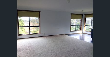 17 Andrea Street, Eden - Photo 4