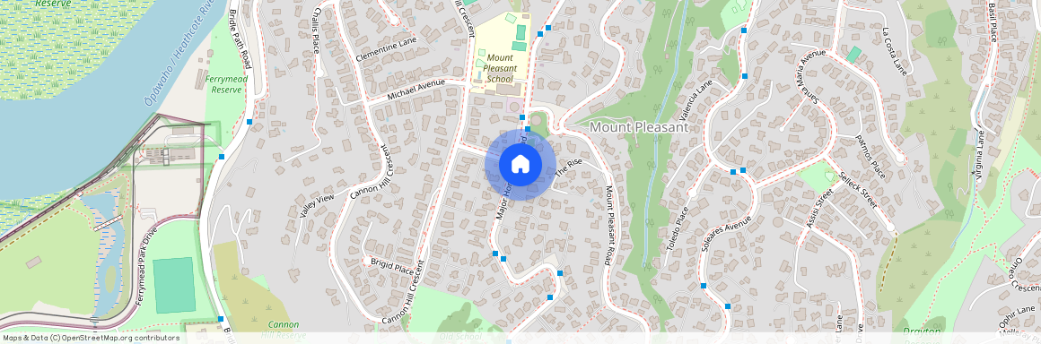 99 Major Hornbrook St, Mt Pleasant