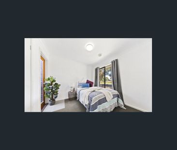 4x2 available!! Close to Everything!! - Photo 4