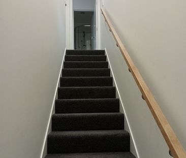 Stunning New Studio Rooms in North Dunedin - Photo 3