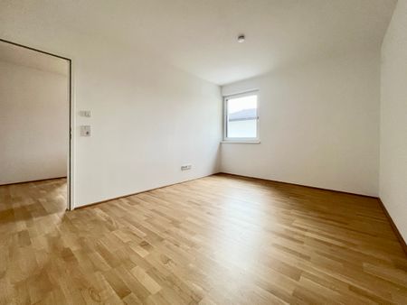 Ihr Ansprechpartner - Foto 5