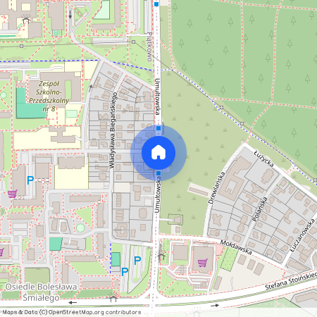 ul. Umultowska, Piątkowo, Stare Miasto, Poznań, wielkopolskie