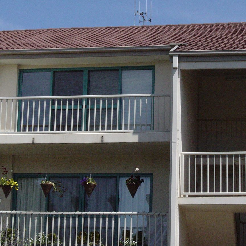 53/55 McMillan Crescent, Griffith ACT 2603 - Apartment For Rent | Domain - Photo 1