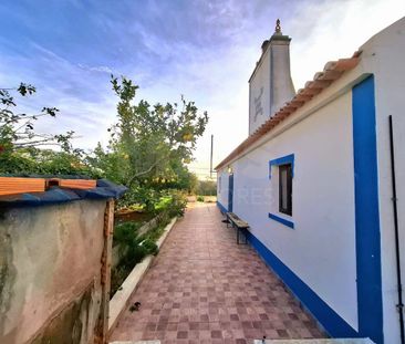Grândola, Setúbal Municipality - Photo 6