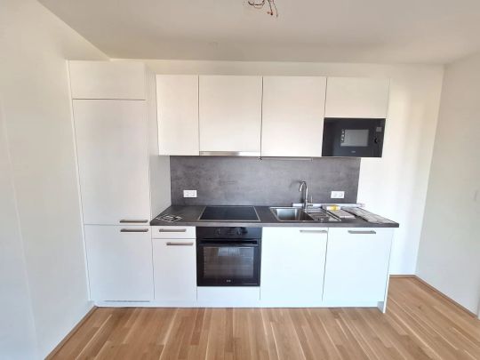 Terrassentraum; 2 Zimmerwohnung mit Dachterrasse in der Schillgasse - Photo 1