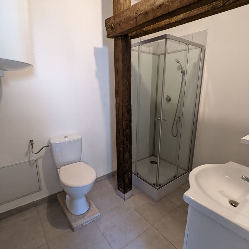 Location Appartement 2 pièces 44m² MULHOUSE 68100 - Photo 1